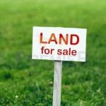 Парцел в Долни чифлик - 3330 кв.м за 3 €/кв.м - Снимка #1