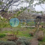 Парцел в с. Царев брод, Област Шумен - 780 кв.м за 52 €/кв.м - Снимка #1