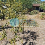 Къща в Шумен, Дивдядово - 160 кв.м за 1084 €/кв.м - Снимка #1