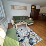 Дава се под наем Двустаен апартамент в София, Младост 2 - 74 кв.м за 362.1 € - Снимка #1