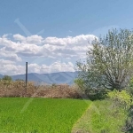 Парцел в Стамболийски - 816 кв.м за 10 €/кв.м - Снимка #1