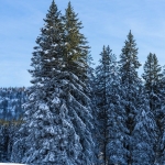 Парцел в Пловдив, Индустриална зона - Тракия - 2700 кв.м за 7 €/кв.м - Снимка #1