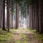 Земеделски имот в Кюстендил, Ильо войвода -  кв.м за 425 €/дка - Снимка #1