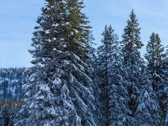 Парцел в Пловдив, Индустриална зона - Тракия - 2700 кв.м за 7 €/кв.м - Снимка #1