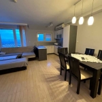 Дава се под наем Тристаен апартамент в София, Драгалевци - 120 кв.м за 999 € - Снимка #1