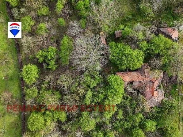 Парцел в с. Ряхово, Област Русе - 1481 кв.м за 12 €/кв.м - Снимка #1