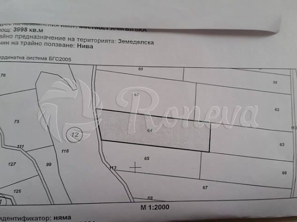 Парцел в с. Шкорпиловци, Област Варна - 4000 кв.м за 11 €/кв.м - Снимка #1