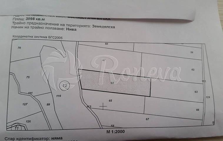 Парцел в с. Шкорпиловци, Област Варна - 4000 кв.м за 11 €/кв.м - Снимка #1