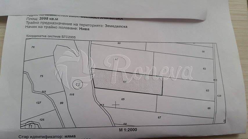 Парцел в с. Шкорпиловци, Област Варна - 4000 кв.м за 11 €/кв.м - Снимка #1