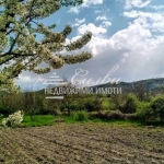 Парцел в Каспичан - 1450 кв.м за 12 €/кв.м - Снимка #1