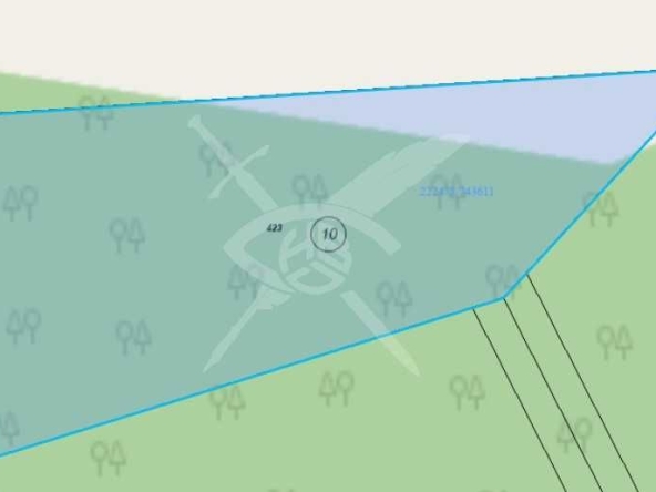 Парцел в Поморие - 9622 кв.м за 35 €/кв.м - Снимка #1