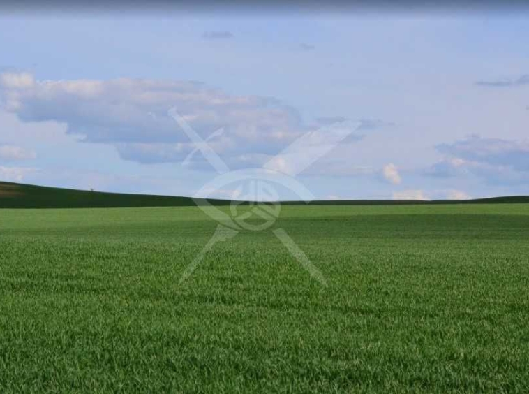 Парцел в Айтос - 385 кв.м за 200 €/кв.м - Снимка #1