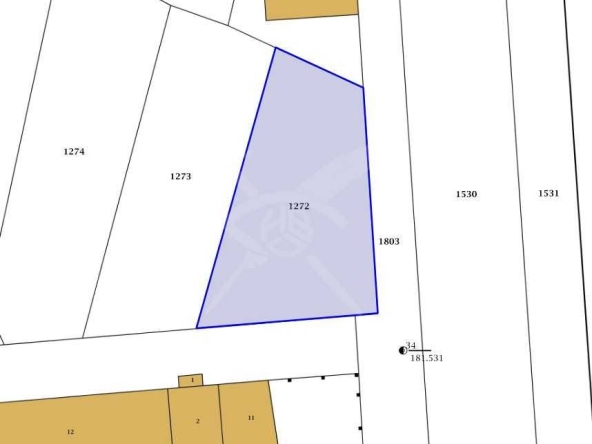 Парцел в с. Труд, Област Пловдив - 1031 кв.м за 153 €/кв.м - Снимка #1