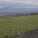 Земеделски имот в с. Сребърна, Област Силистра -  кв.м за 274 €/дка - Снимка #1