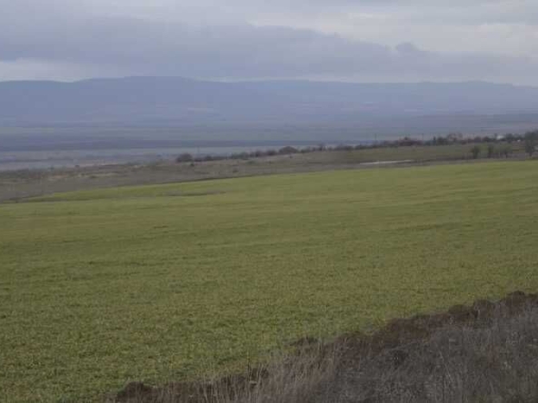 Земеделски имот в с. Сребърна, Област Силистра -  кв.м за 274 €/дка - Снимка #1