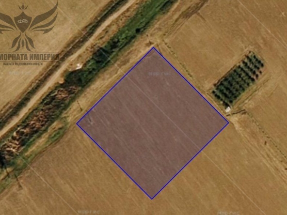 Земеделски имот в Асеновград -  кв.м за 12814 €/дка - Снимка #1