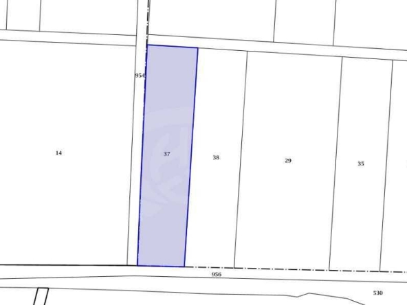 Парцел в с. Куртово Конаре, Област Пловдив - 3642 кв.м за 20 €/кв.м - Снимка #1