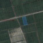 Земеделски имот в с. Манолско Конаре, Област Пловдив -  кв.м за 1326 €/дка - Снимка #1