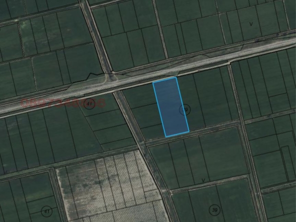 Земеделски имот в с. Манолско Конаре, Област Пловдив -  кв.м за 1326 €/дка - Снимка #1