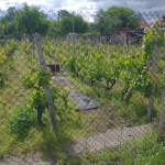 Парцел в с. Големо село, Област Кюстендил - 405 кв.м за 37 €/кв.м - Снимка #1