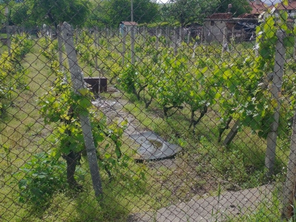 Парцел в с. Големо село, Област Кюстендил - 405 кв.м за 37 €/кв.м - Снимка #1