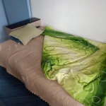 Дава се под наем Двустаен апартамент в София, Зона Б-5-3 - 55 кв.м за 255 € - Снимка #1