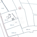 Парцел в с. Кривня, Област Варна - 6050 кв.м за 7 €/кв.м - Снимка #1