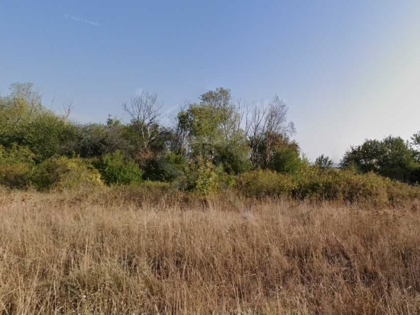 Парцел в с. Емона, Област Бургас - 3400 кв.м за 11 €/кв.м - Снимка #1