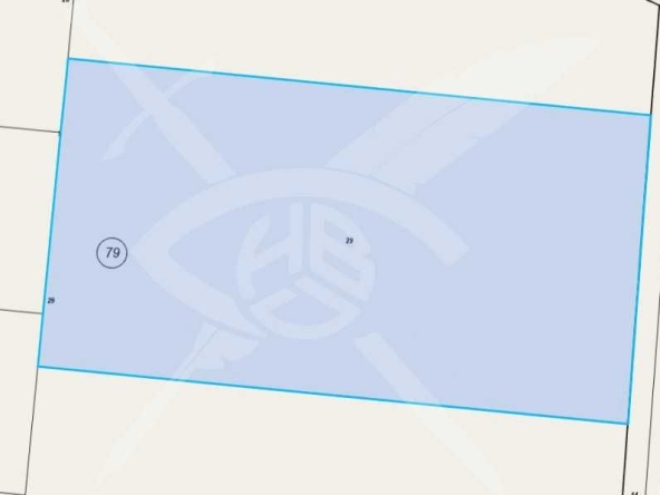 Парцел в с. Ябълчево, Област Бургас - 5000 кв.м за 2 €/кв.м - Снимка #1