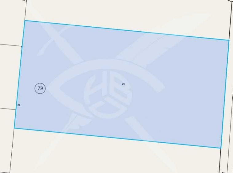 Парцел в с. Ябълчево, Област Бургас - 5000 кв.м за 3 €/кв.м - Снимка #1