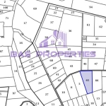 Парцел в с. Хераково, Област София-област - 4202 кв.м за 6 €/кв.м - Снимка #1