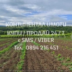 Земеделски имот в с. Брестовица, Област Пловдив -  кв.м за 4845 €/дка - Снимка #1