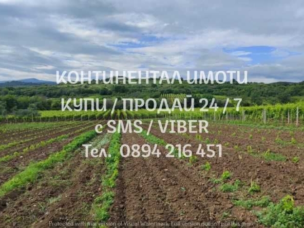 Земеделски имот в с. Брестовица, Област Пловдив -  кв.м за 4845 €/дка - Снимка #1