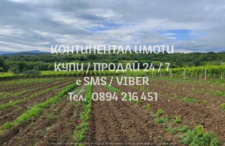 Земеделски имот в с. Брестовица, Област Пловдив -  кв.м за 4845 €/дка - Снимка #1