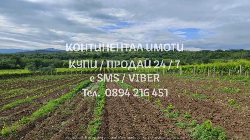 Земеделски имот в с. Брестовица, Област Пловдив -  кв.м за 4845 €/дка - Снимка #1