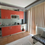 Дава се под наем Тристаен апартамент в Пловдив, Кючук Париж - 68 кв.м за 400 € - Снимка #1