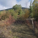 Парцел в Своге - 1000 кв.м за 18 €/кв.м - Снимка #1