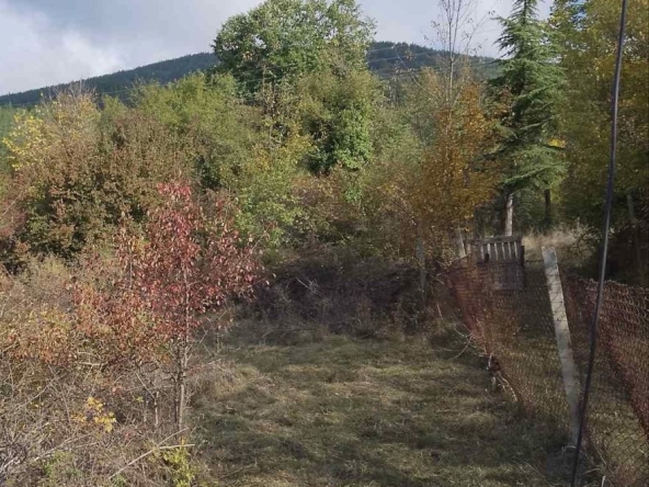 Парцел в Своге - 1000 кв.м за 18 €/кв.м - Снимка #1