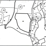Парцел в с. Николичевци, Област Кюстендил - 19799 кв.м за 2 €/кв.м - Снимка #1