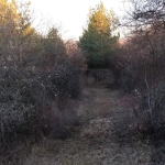 Парцел в с. Кременик, Област Кюстендил - 960 кв.м за 15 €/кв.м - Снимка #1