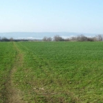 Парцел в Велико Търново, Акация - 1900 кв.м за 16 €/кв.м - Снимка #1