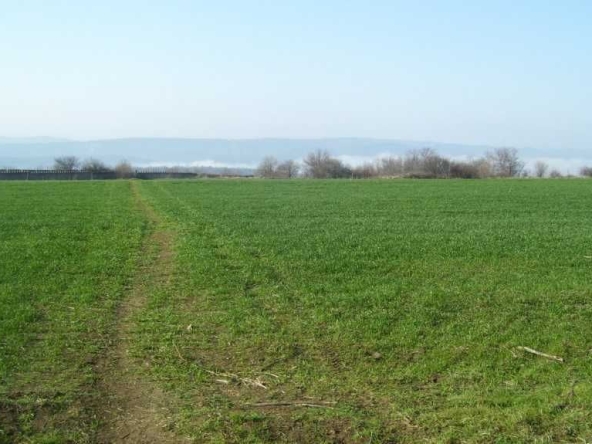 Парцел в Велико Търново, Акация - 1900 кв.м за 16 €/кв.м - Снимка #1