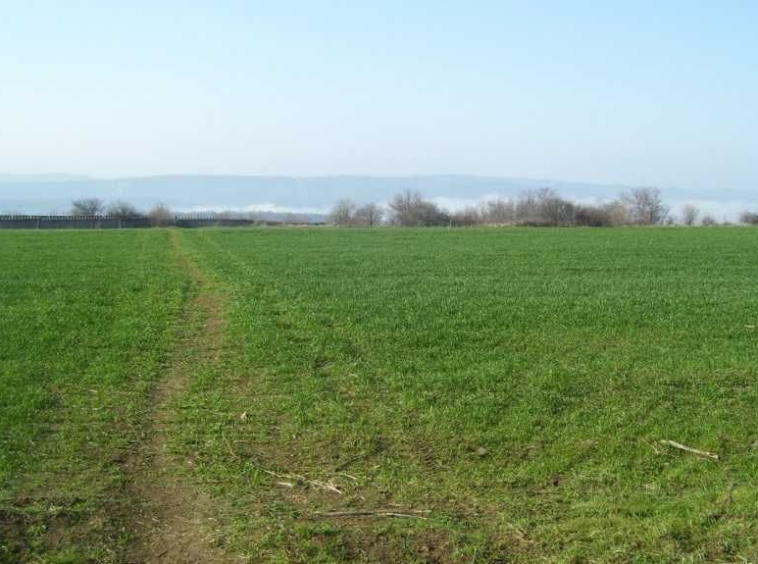 Парцел в Велико Търново, Акация - 1900 кв.м за 16 €/кв.м - Снимка #1