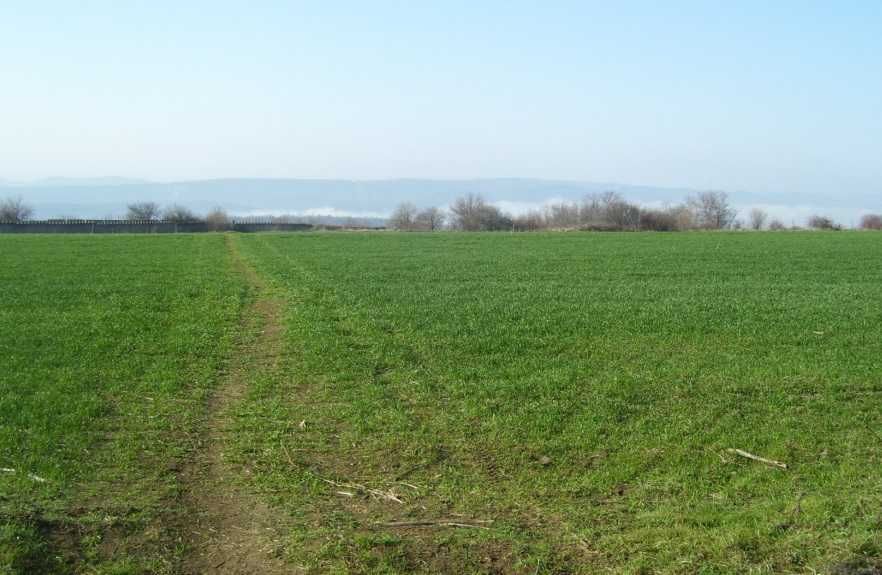 Парцел в Велико Търново, Акация - 1900 кв.м за 16 €/кв.м - Снимка #1