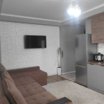 Дава се под наем Двустаен апартамент в София, Карпузица - 50 кв.м за 350 € - Снимка #1