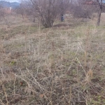 Парцел в с. Леденик, Област Велико Търново - 720 кв.м за 59 €/кв.м - Снимка #1