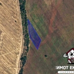 Земеделски имот в Асеновград -  кв.м за 1717 €/дка - Снимка #1