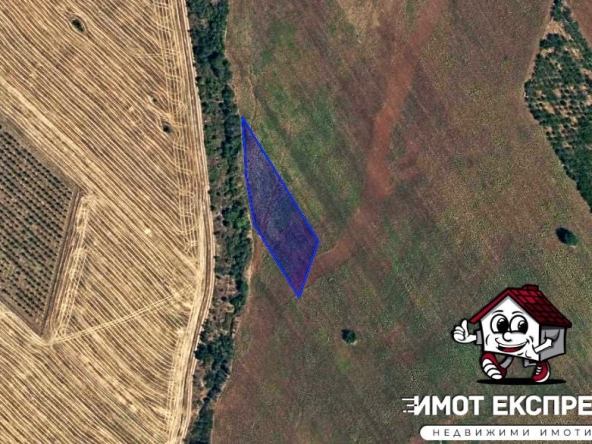 Земеделски имот в Асеновград -  кв.м за 1717 €/дка - Снимка #1