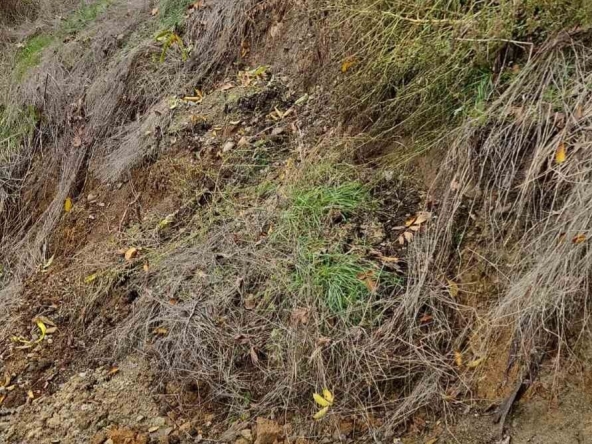 Парцел в Кюстендил, Колуша - 590 кв.м за 65 €/кв.м - Снимка #1