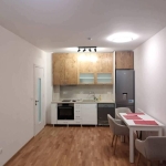 Дава се под наем Двустаен апартамент в Пловдив, Каменица 2 - 65 кв.м за 536 € - Снимка #1